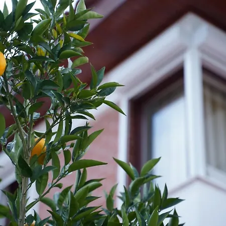 Apartman Extraordinary Villa With Private Pool In Antalya Surrounded By Nature Belek